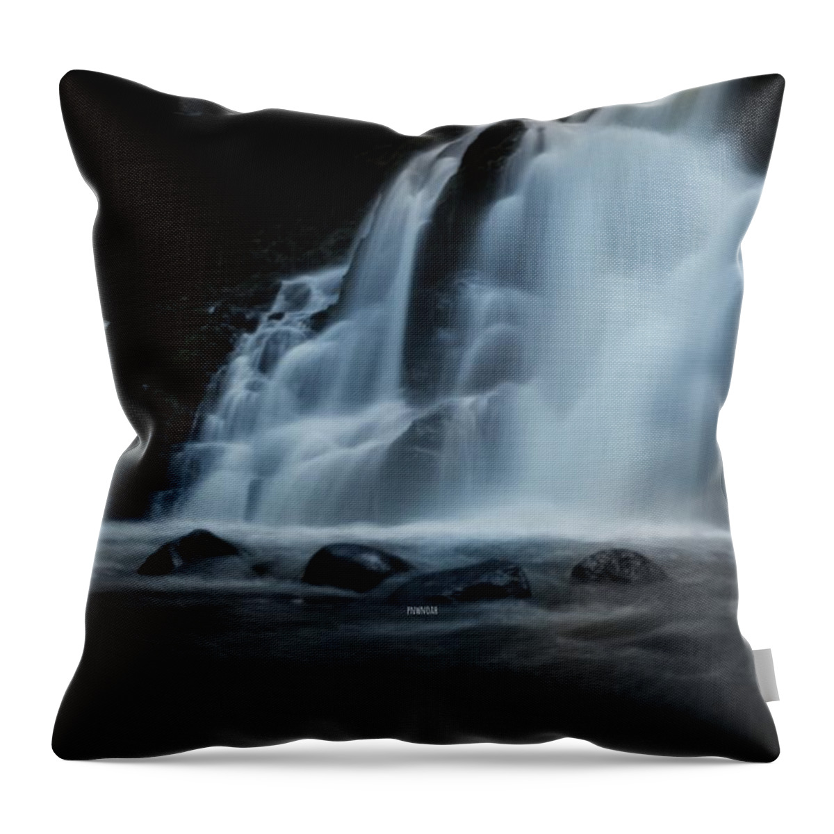 Flower Throw Pillow featuring the photograph Smooth by Noah Mahlon