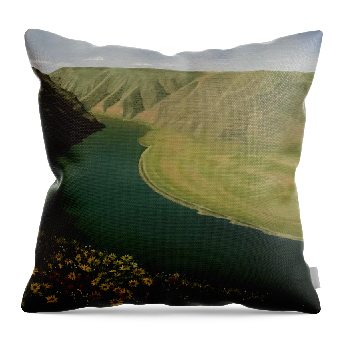 Snake River Throw Pillow featuring the painting Snake RIver by Elizabeth Mundaden