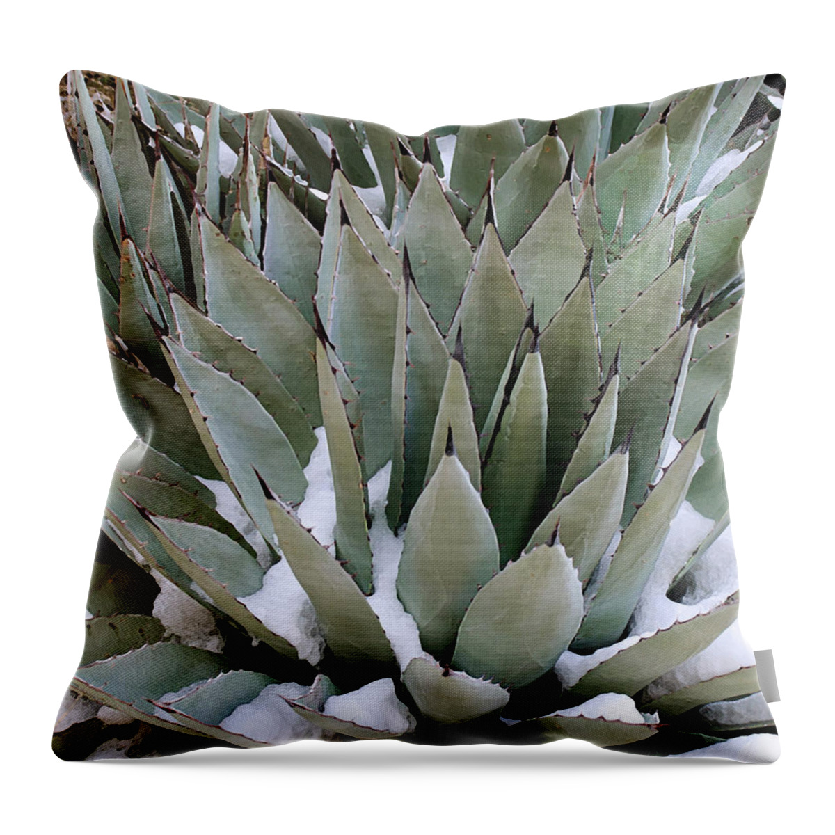 Agave Throw Pillow featuring the digital art Snow Agave by Karen Conley