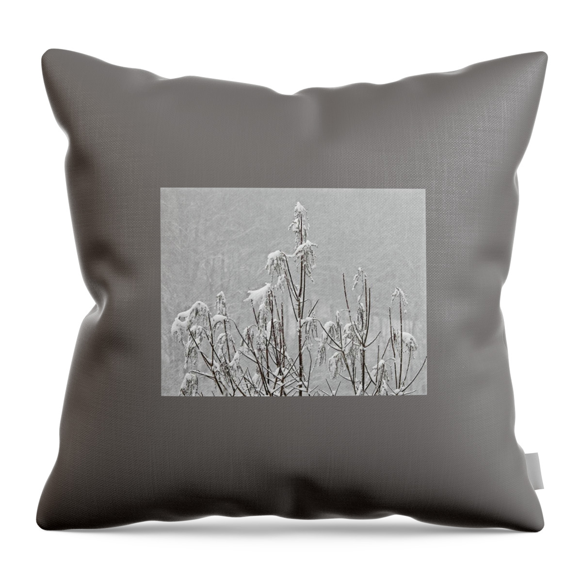 Winter Throw Pillow featuring the photograph Snow Dance by Kathy Ozzard Chism