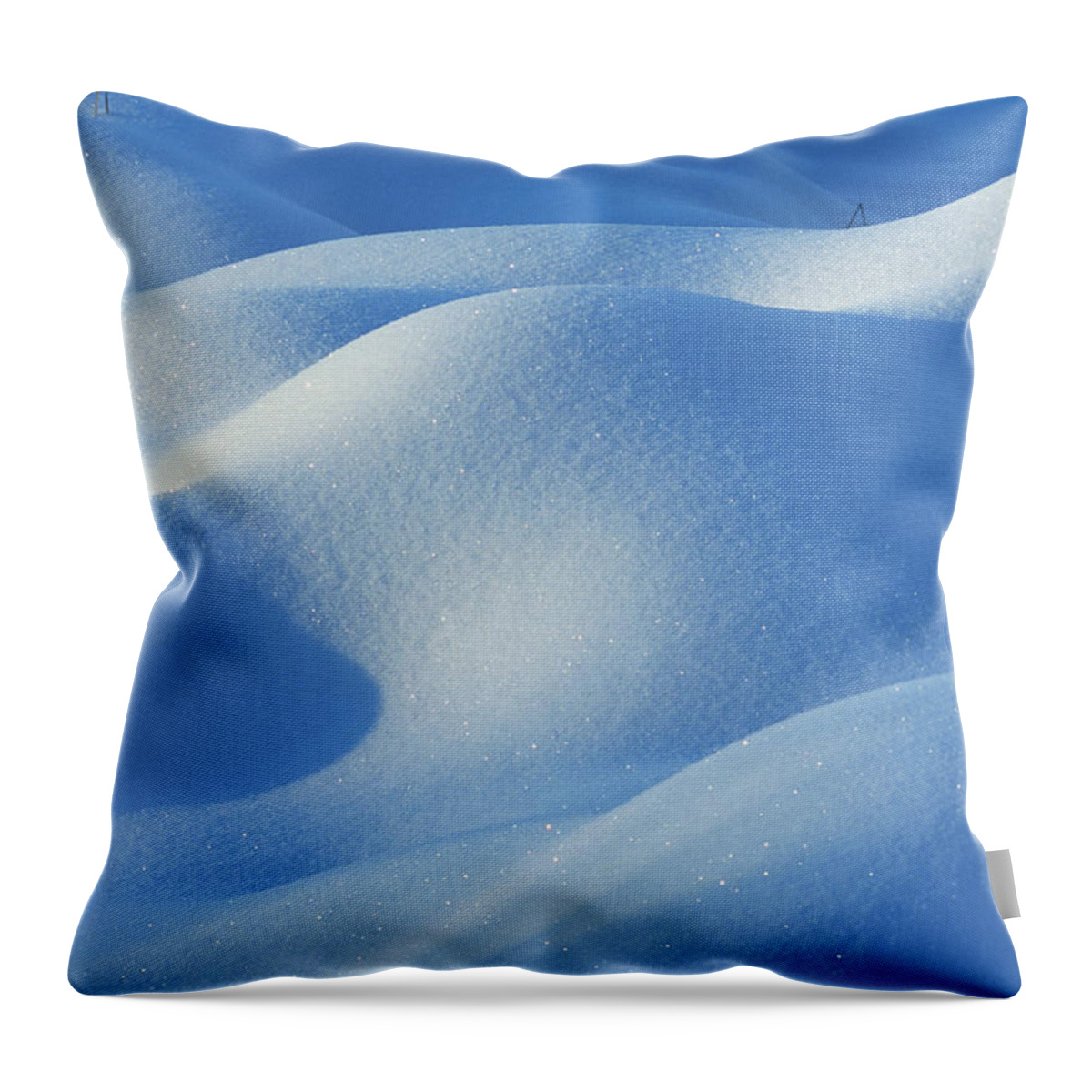 Snow Throw Pillow featuring the photograph Snow Detail On Tundra Pond, Alaska, Usa by Kevin Schafer