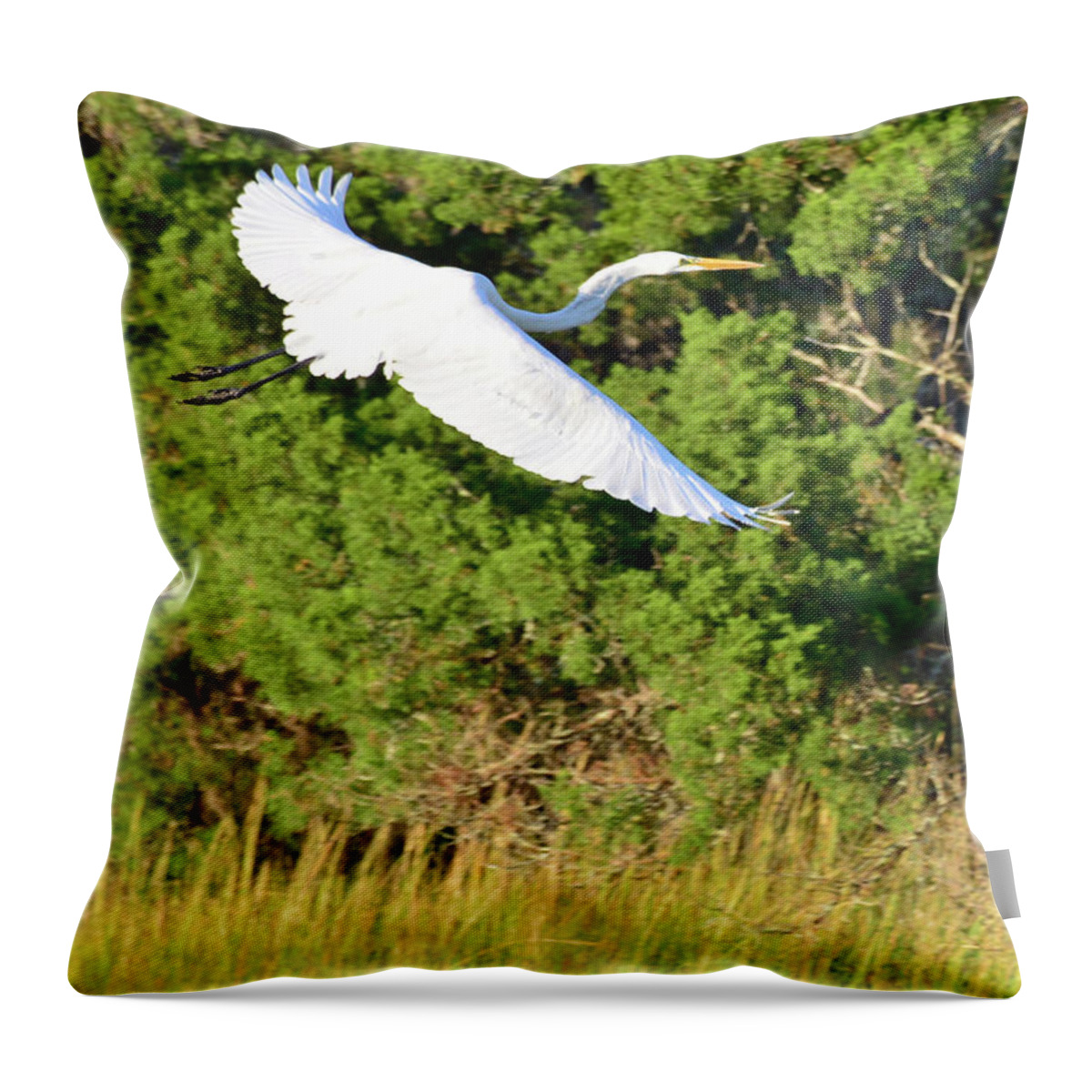 Birds Throw Pillow featuring the photograph Snow Egret Soaring Above the Marsh by Bruce Gourley