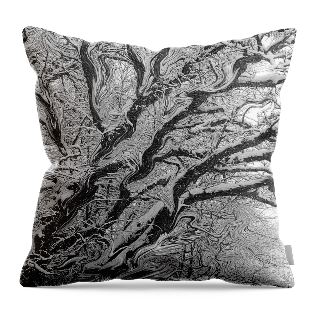Tree Limbs Throw Pillow featuring the photograph Snow Melt by Rosanne Licciardi