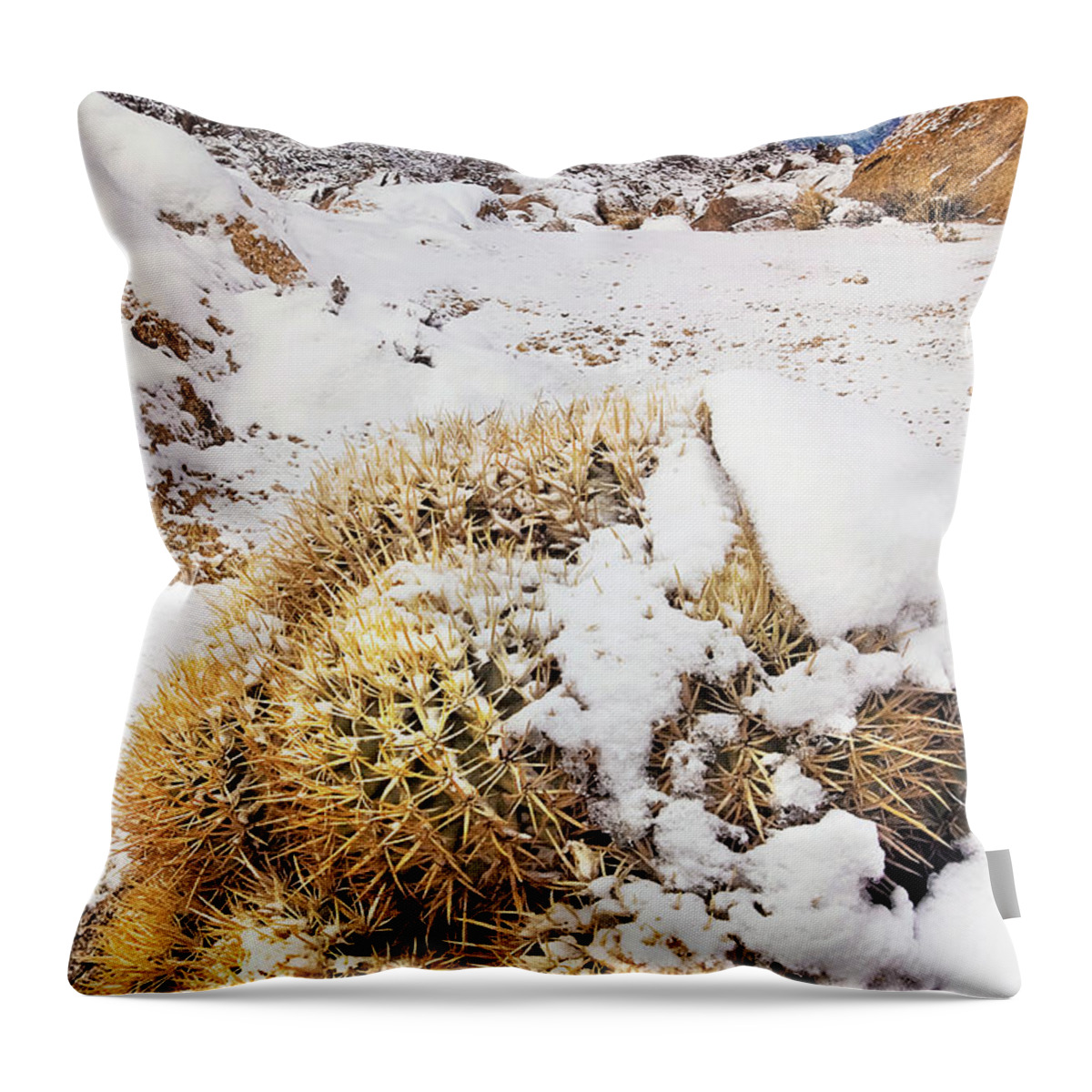 Dave Welling Throw Pillow featuring the photograph Snow On Cactus Alabama Hills Eastern Sierras California by Dave Welling