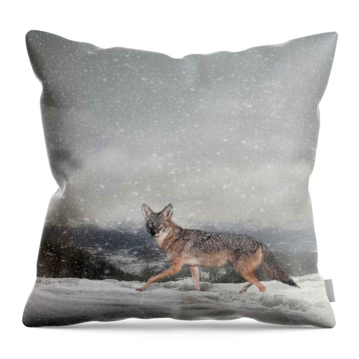 Coyote Throw Pillow featuring the photograph Snow Trekker by Jai Johnson