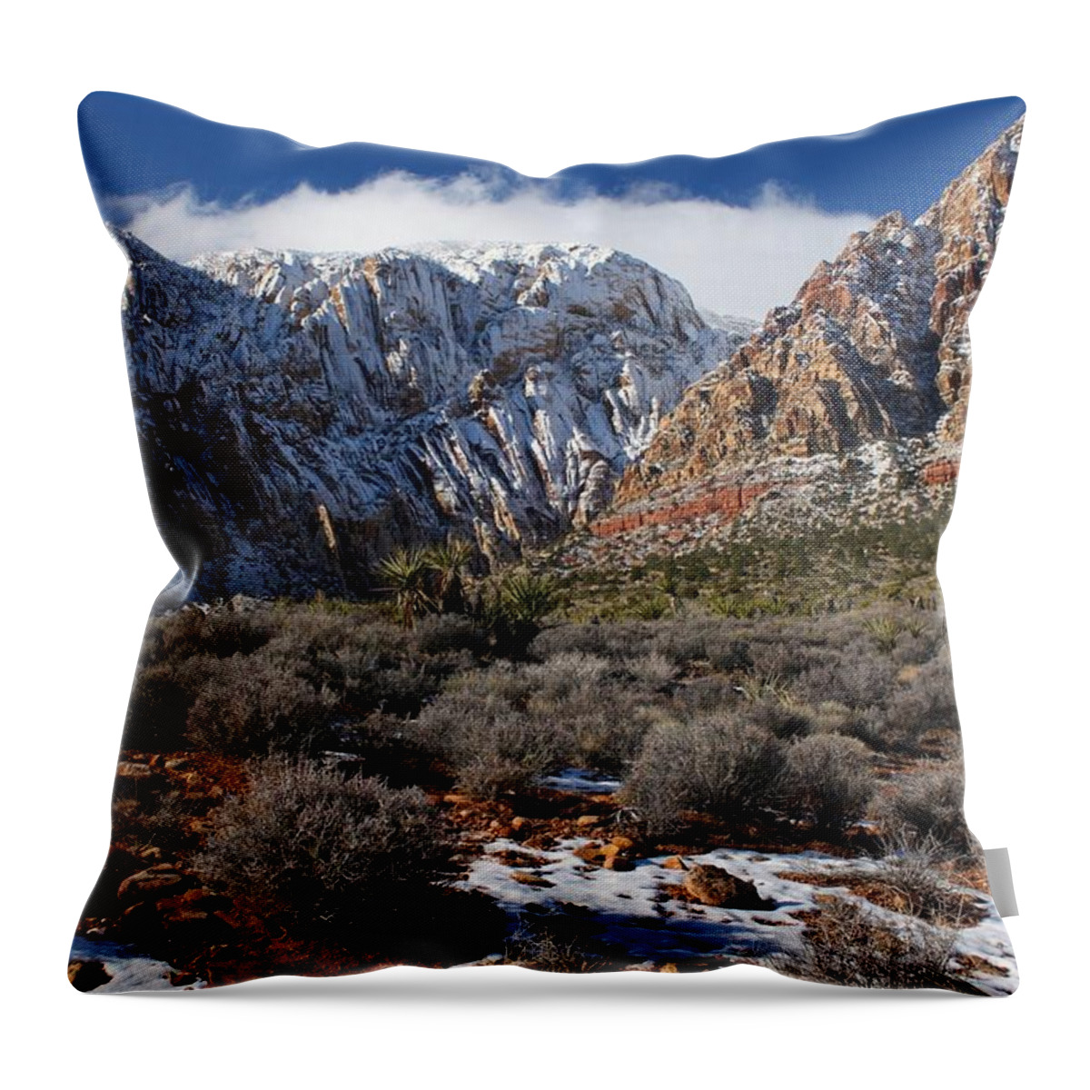 Red Rock Canyon National Conservation Area Throw Pillow featuring the photograph Snowcapped Mountains And Desert by Photography By R. L. Pniewski