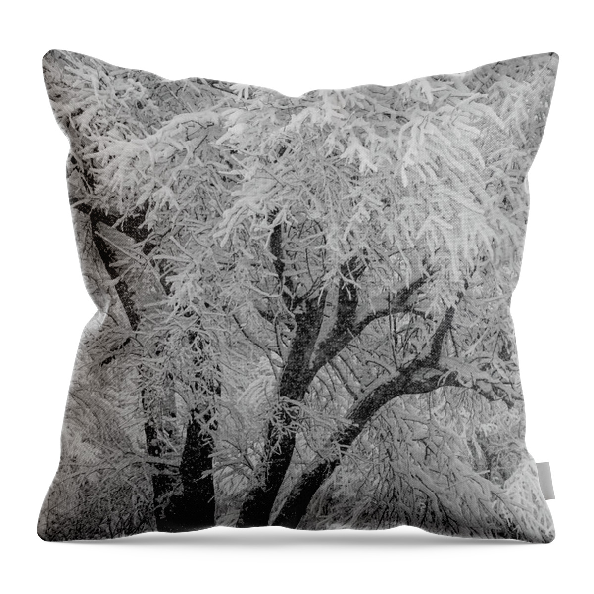 Snow Throw Pillow featuring the photograph Snowfall Scene by Mary Anne Delgado