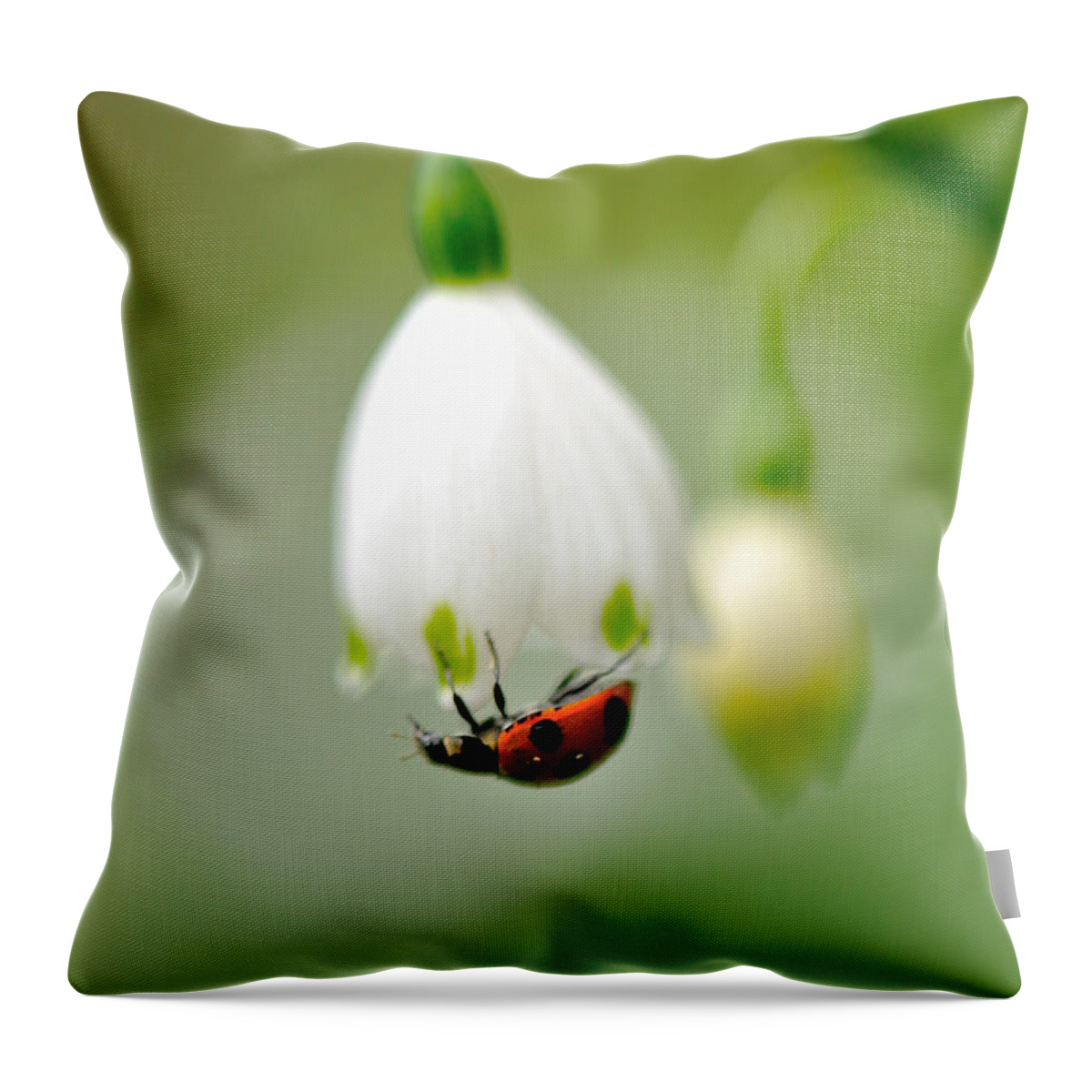 Hanging Throw Pillow featuring the photograph Snowflake With Ladybug by Myu-myu