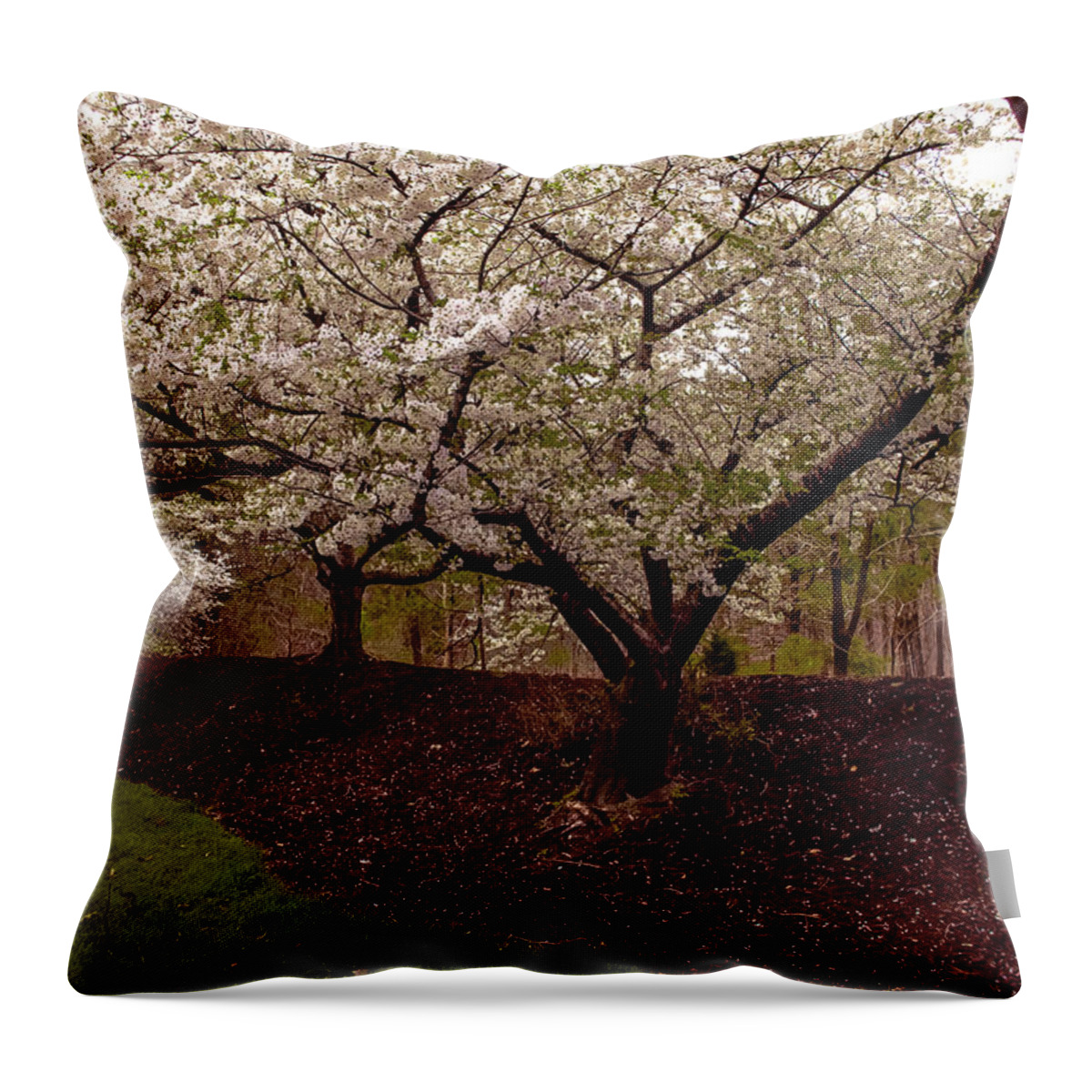 Cherry Blossoms Throw Pillow featuring the photograph Snowy Cherry Blossoms by Ola Allen