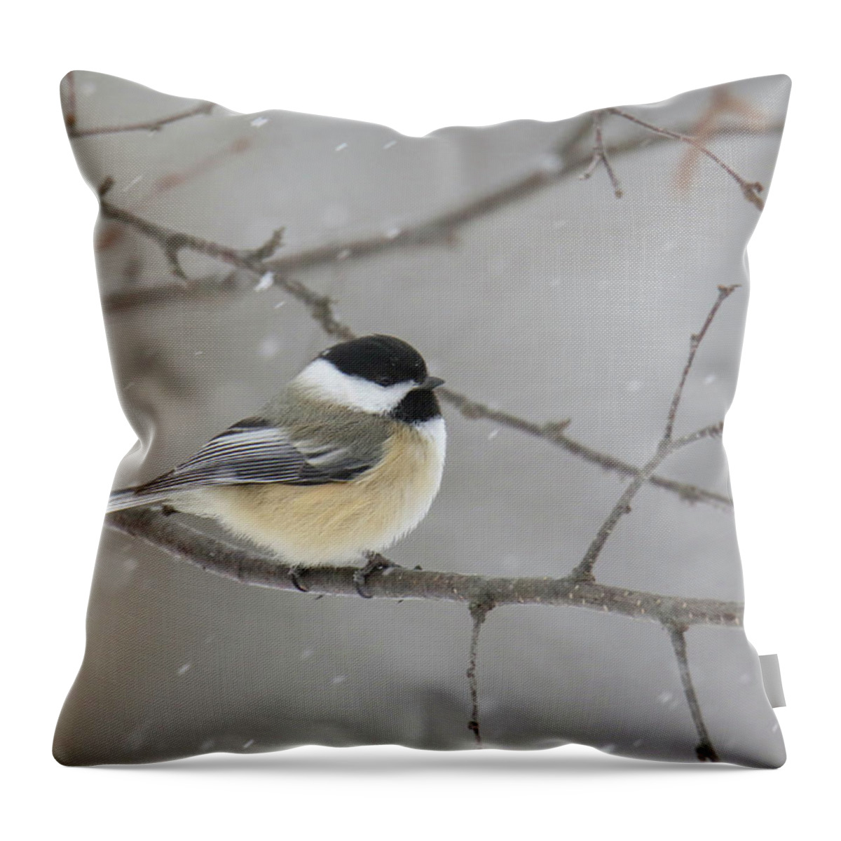 Chickadee Throw Pillow featuring the photograph Snowy Chickadee by Brook Burling