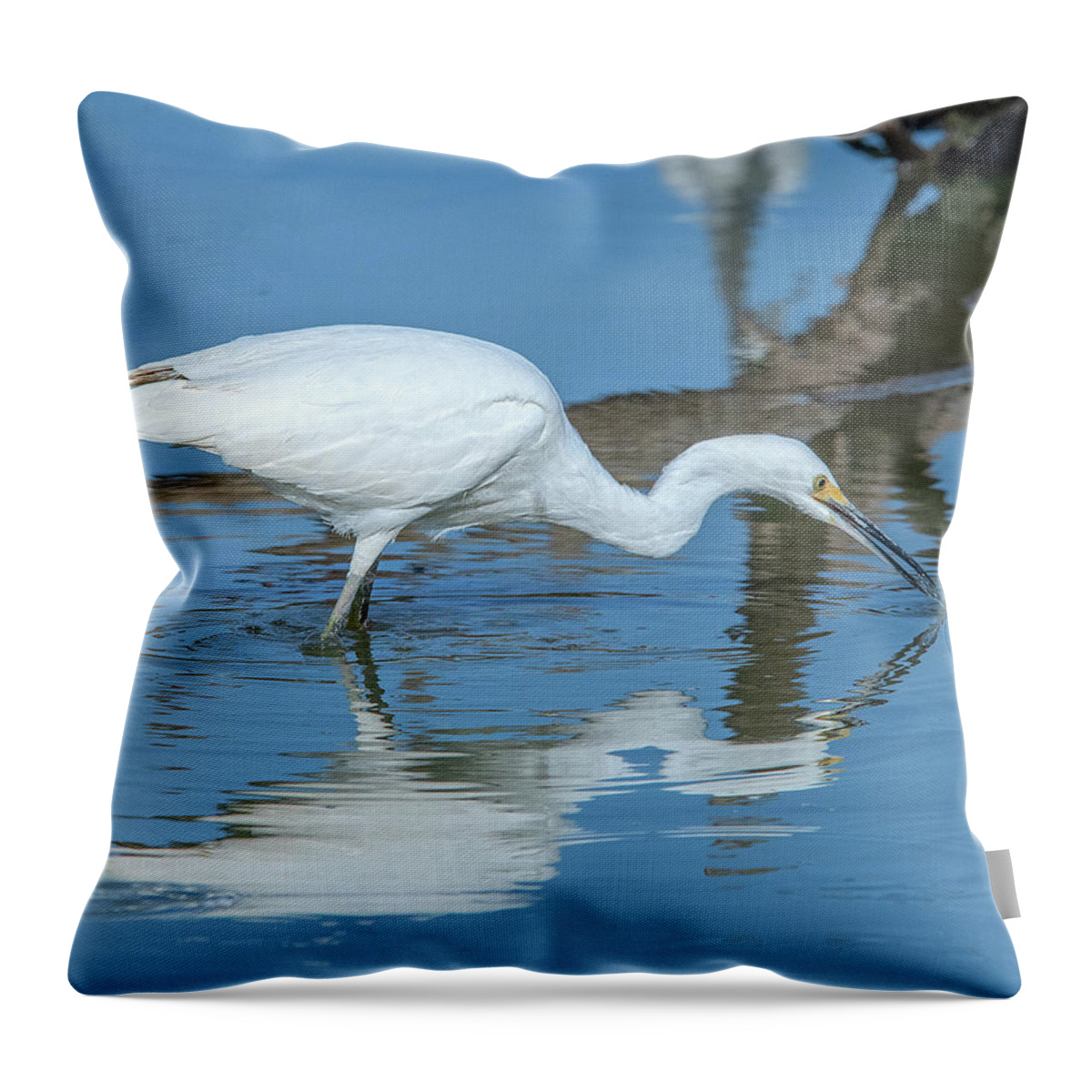 Nature Throw Pillow featuring the photograph Snowy Egret DMSB0178 by Gerry Gantt