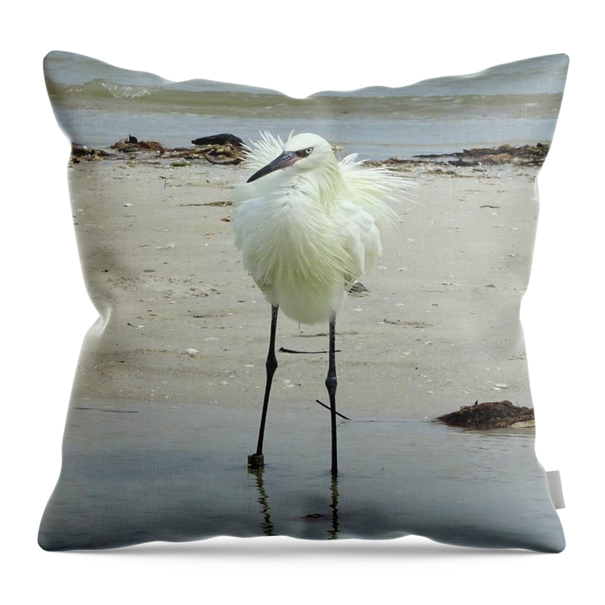 Birds Throw Pillow featuring the photograph Snowy Egret Ruffled by Karen Stansberry