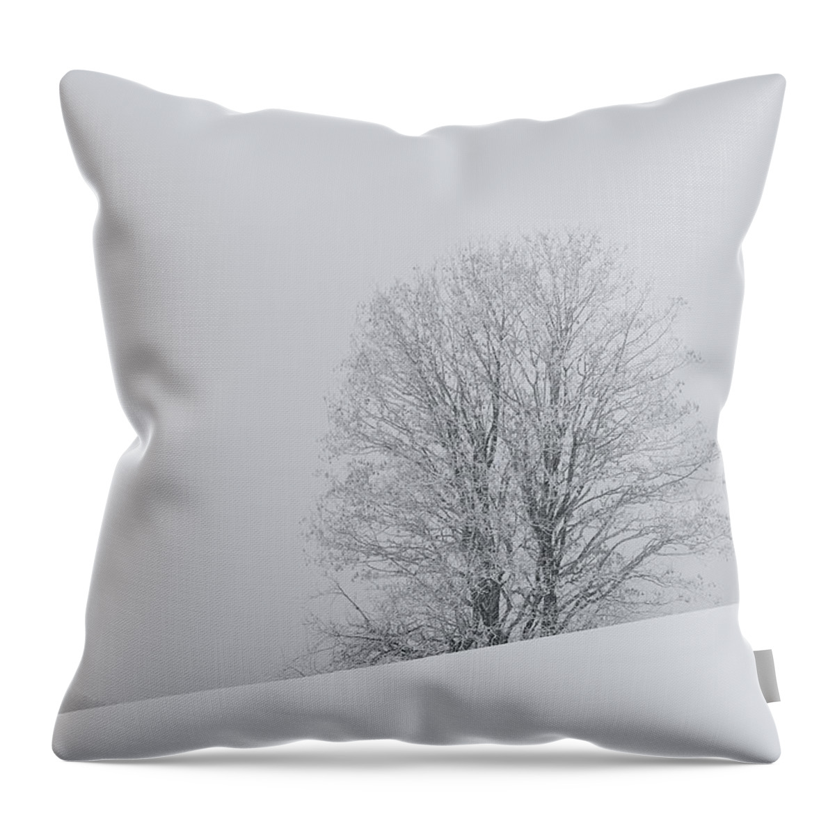 Tree Throw Pillow featuring the photograph Snowy tree - 6 by Paul MAURICE