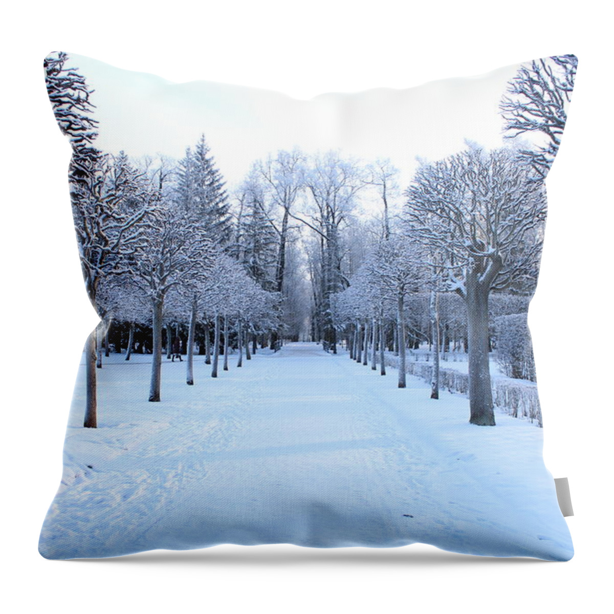 Trees In Snow Throw Pillow featuring the photograph Snowy Trees by FD Graham