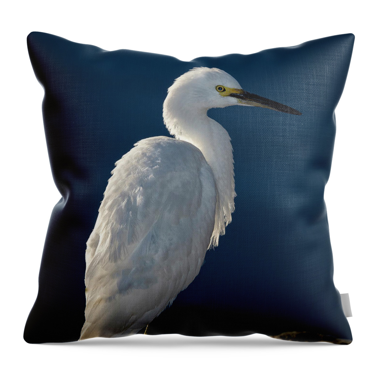 Snowy White Egret Throw Pillow featuring the photograph Snowy White Egret 5 by Rick Mosher