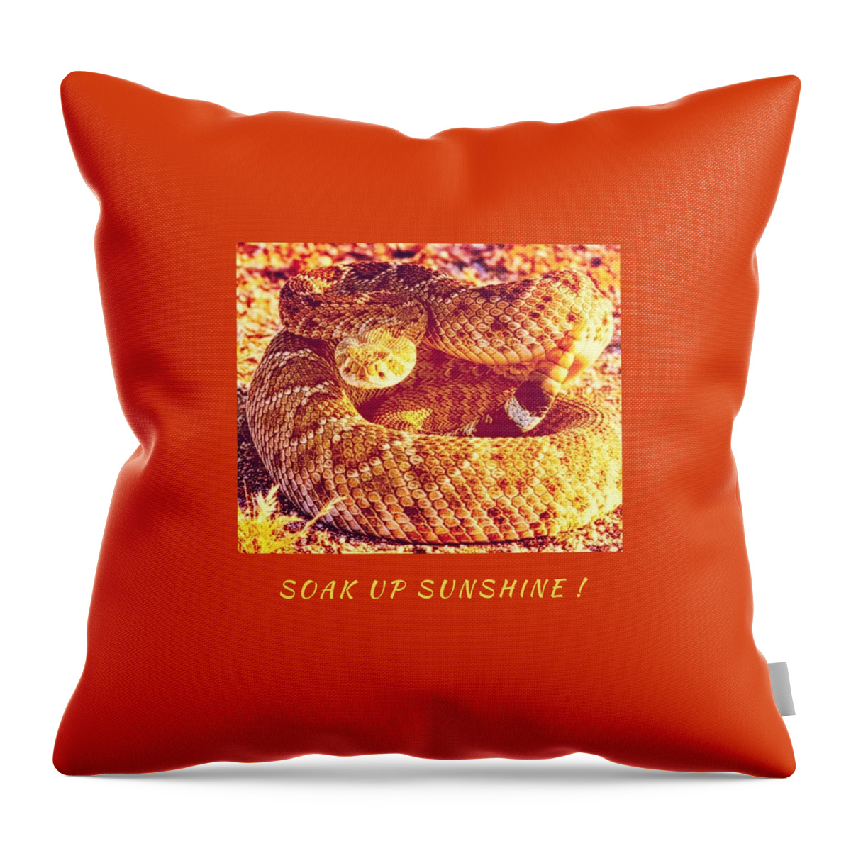 Snake Throw Pillow featuring the photograph Soak Up Sunshine by Judy Kennedy