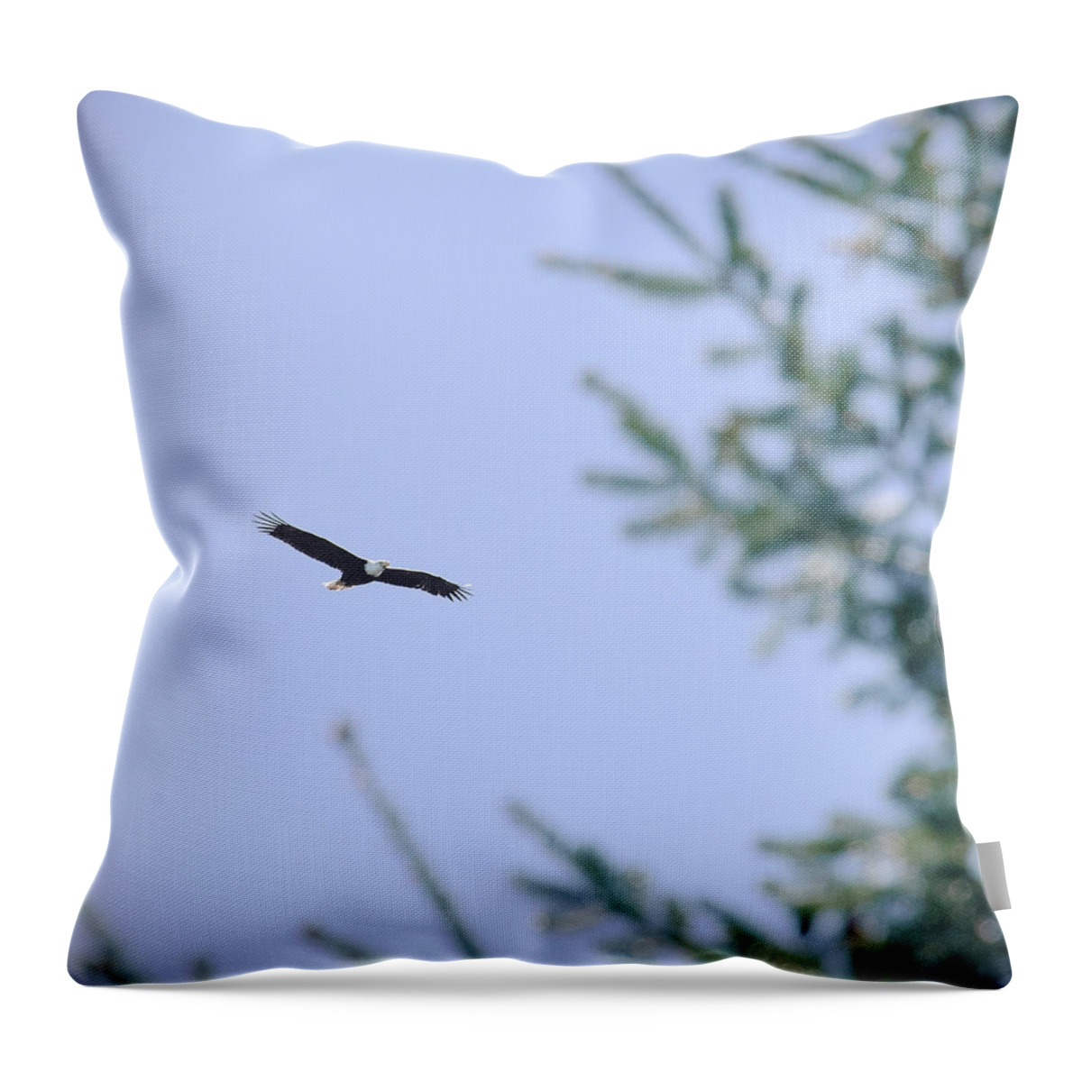 National Park Throw Pillow featuring the photograph Soaring Over the Olympics by Steven Keys