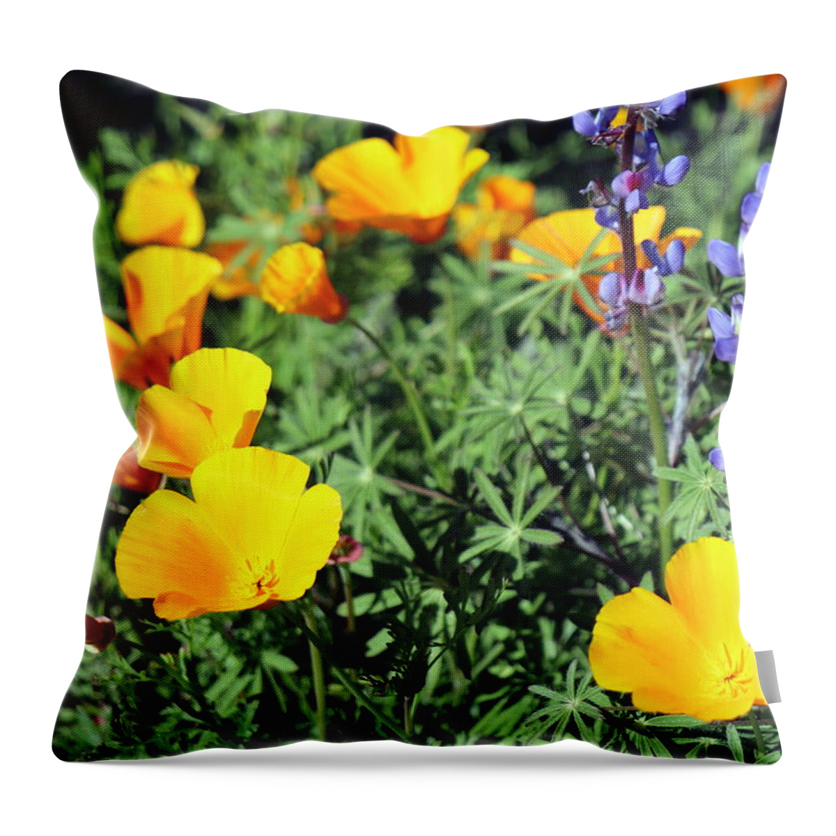 Wildflowers Throw Pillow featuring the photograph SoCal SuperBloom 7Photograph by Kimberly Walker
