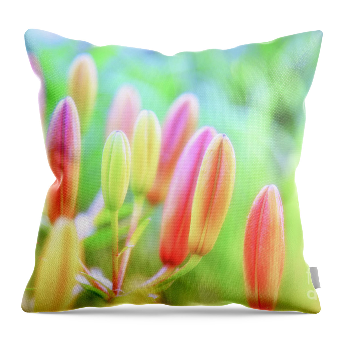 Garden Throw Pillow featuring the photograph Soft and Light 25 by Becqi Sherman