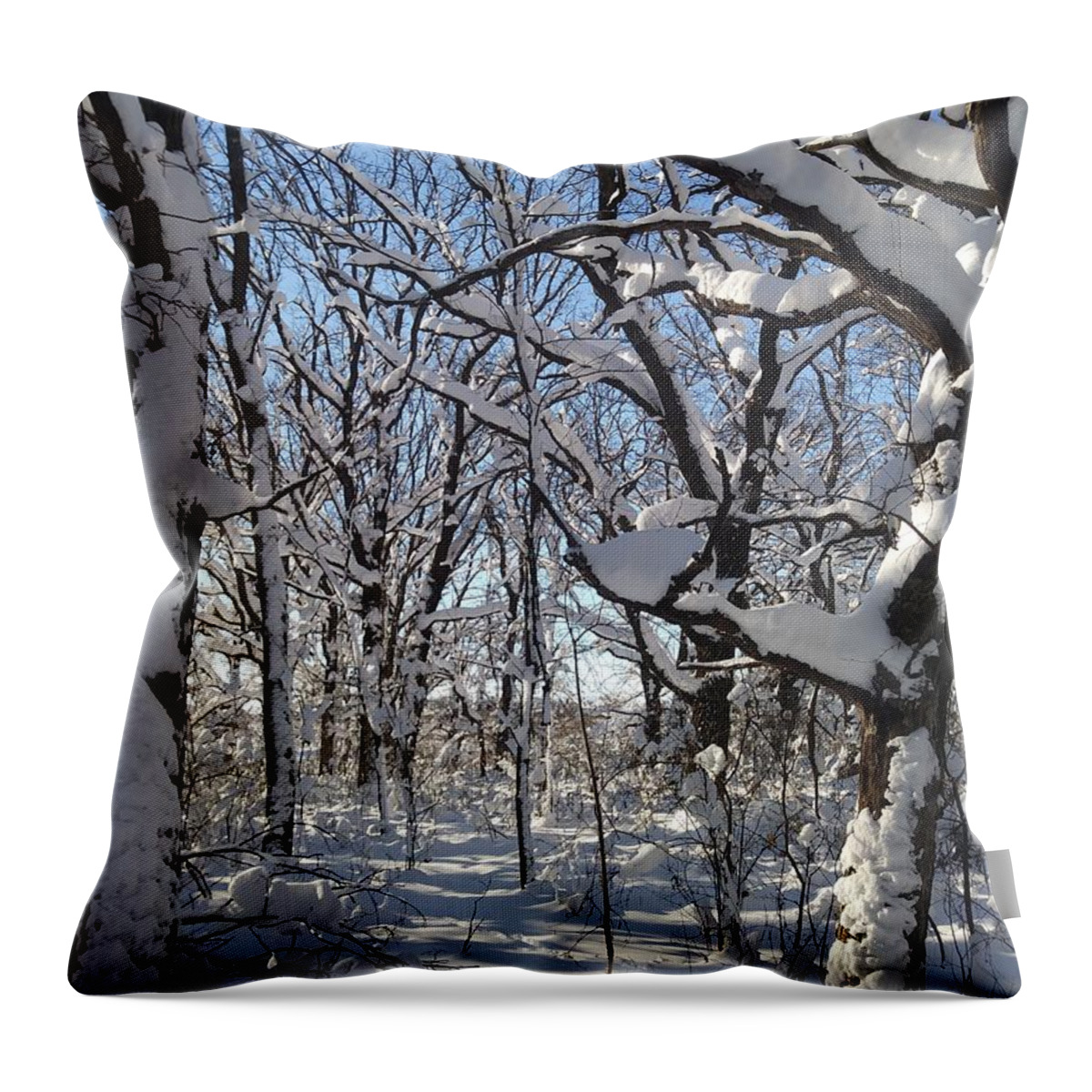 Peterson Nature Photography Throw Pillow featuring the photograph Softened Hardwoods by James Peterson