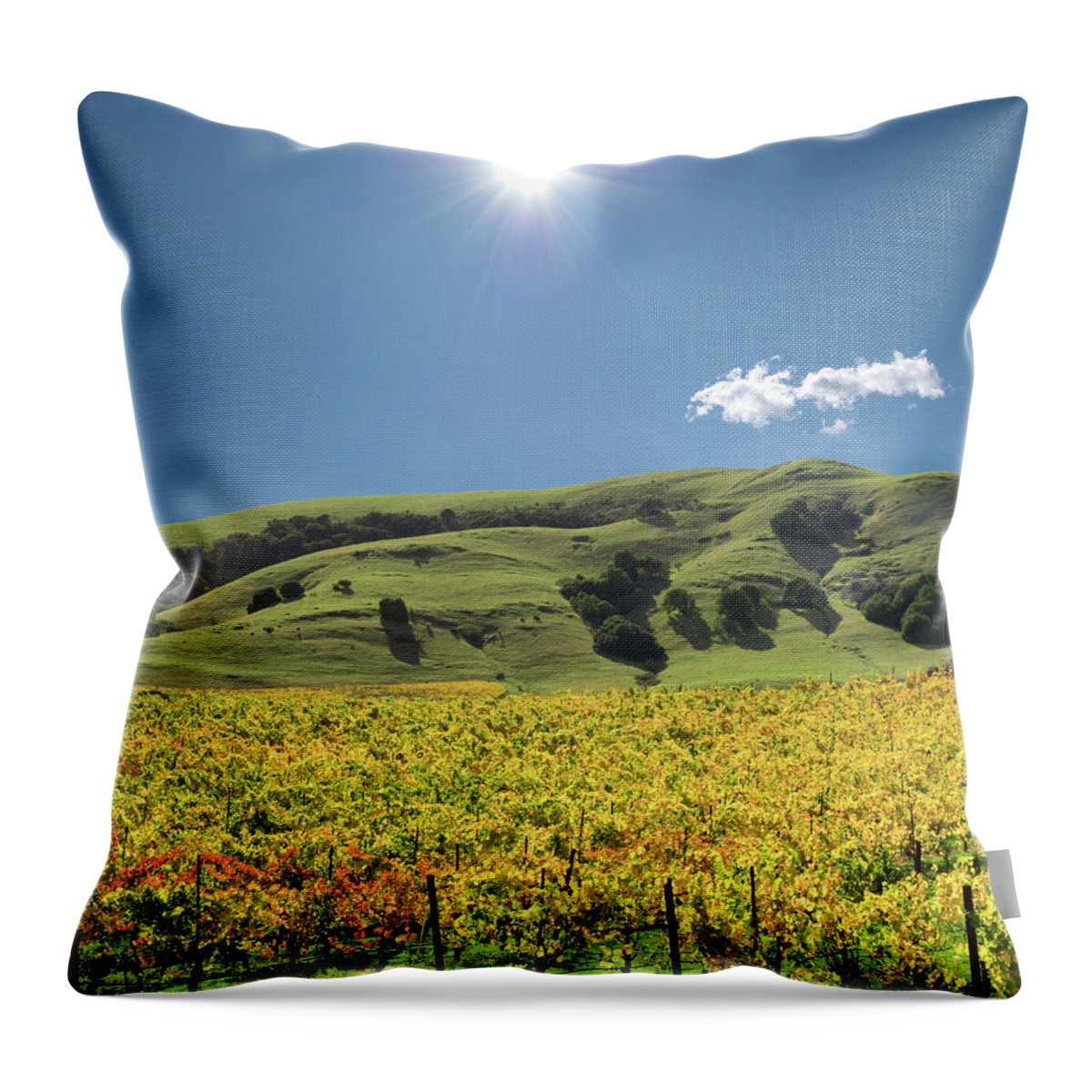 Scenics Throw Pillow featuring the photograph Sonoma Valley Winery Vines by Ivanastar
