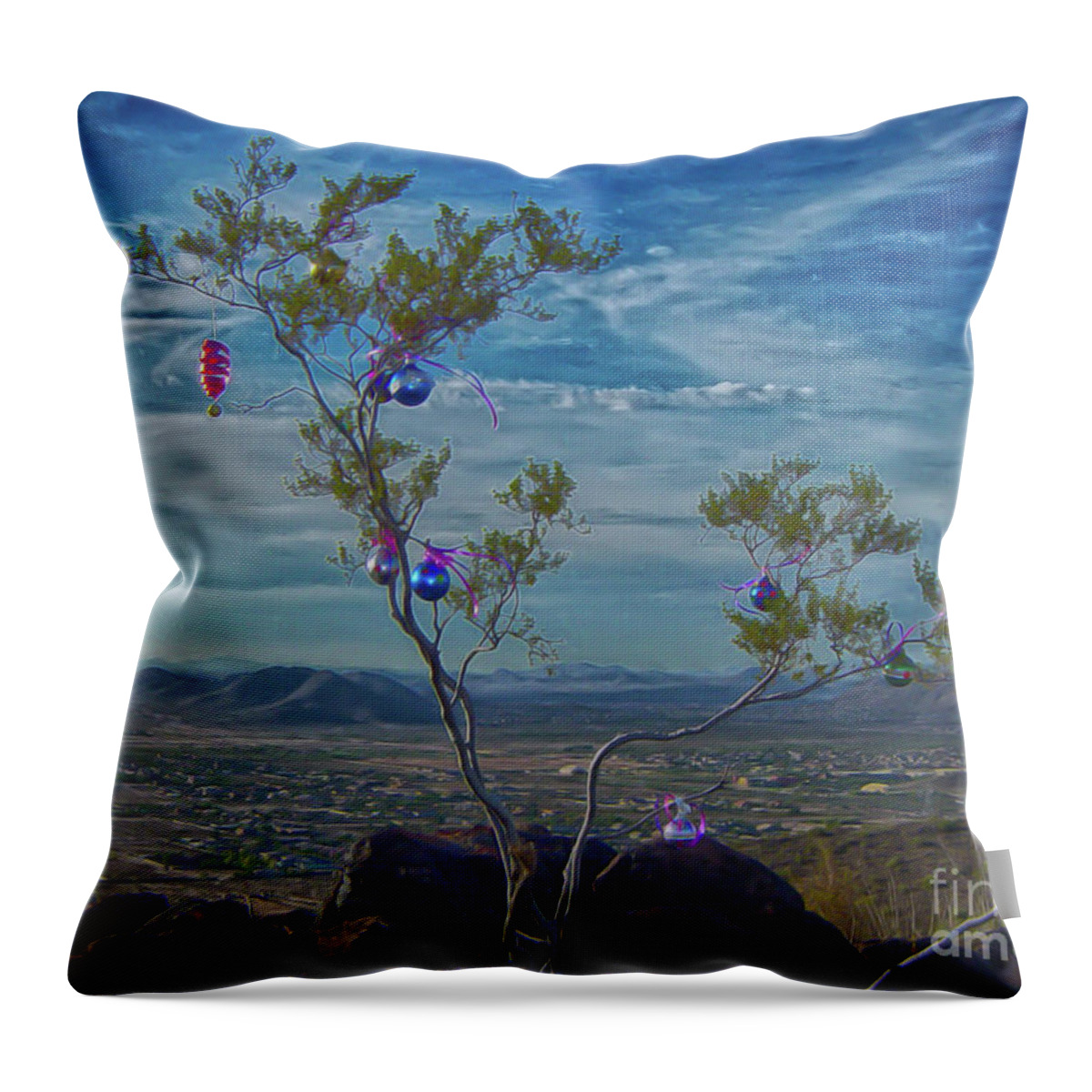Arizona Throw Pillow featuring the photograph Sonoran Christmas by Eye Olating Images