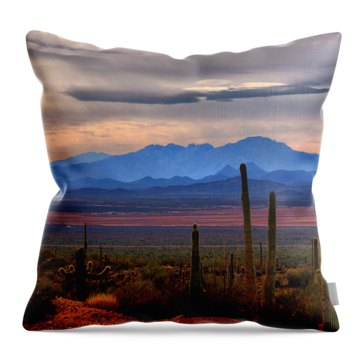 Scenics Throw Pillow featuring the photograph Sonoran Desert Floor by Lawrence Goldman Photography