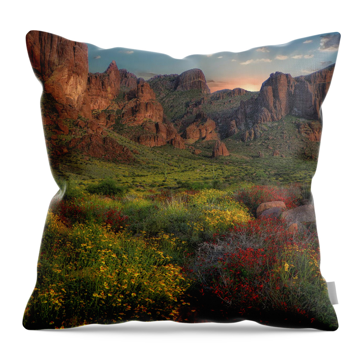 Flowers Throw Pillow featuring the photograph Sonoran Desert Springtime by Hans Brakob