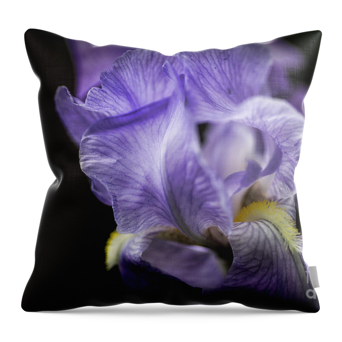 Blue Bearded Iris Throw Pillow featuring the photograph Soul Blossom - Blue Bearded Iris by Mary Lou Chmura