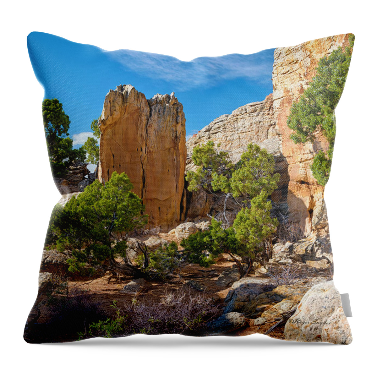 Beautiful Photos Throw Pillow featuring the photograph South of Pryors 17 by Roger Snyder