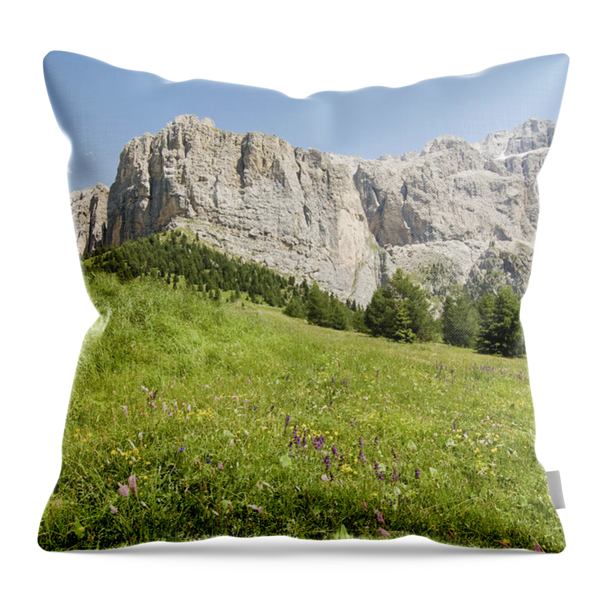 Eco Tourism Throw Pillow featuring the photograph South Tyrol Mountain Range by Hiphunter