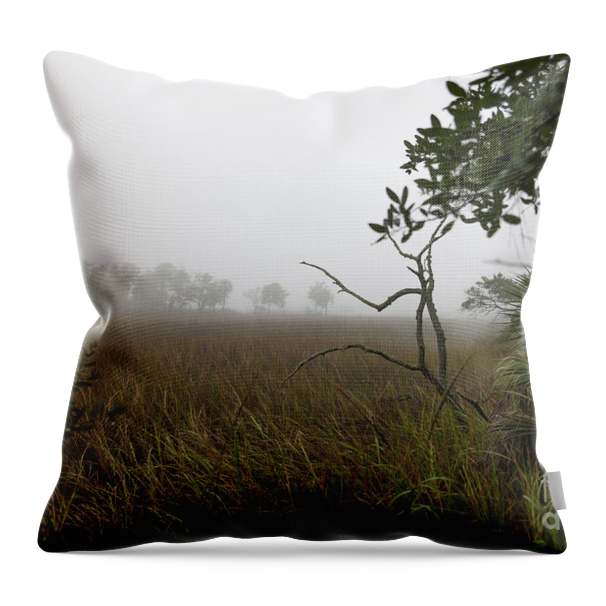 Fog Throw Pillow featuring the photograph Southern Layers of Fog by Dale Powell