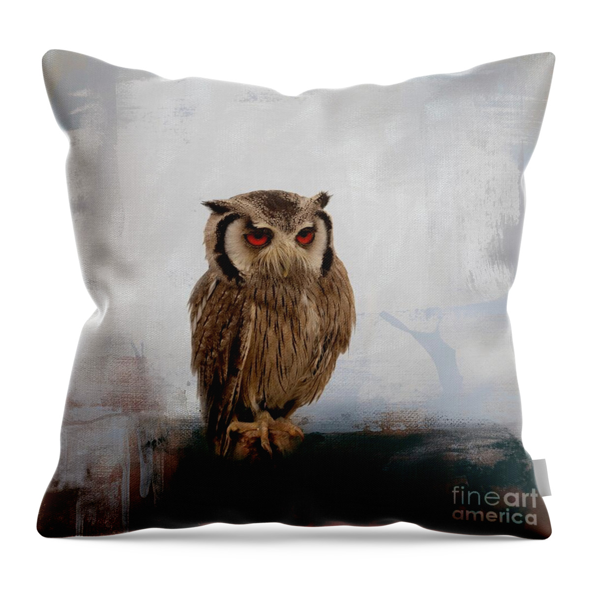 Southern White-faced Scop Owl Throw Pillow featuring the photograph Southern White-Faced Scop Owl-2 by Eva Lechner