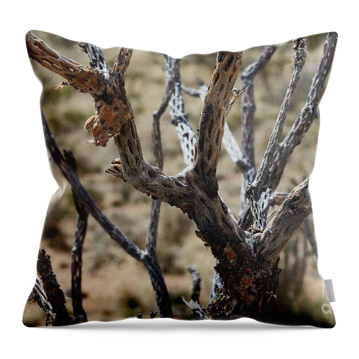 New Mexico Desert Throw Pillow featuring the photograph Southwest Cactus Wood by Robert WK Clark