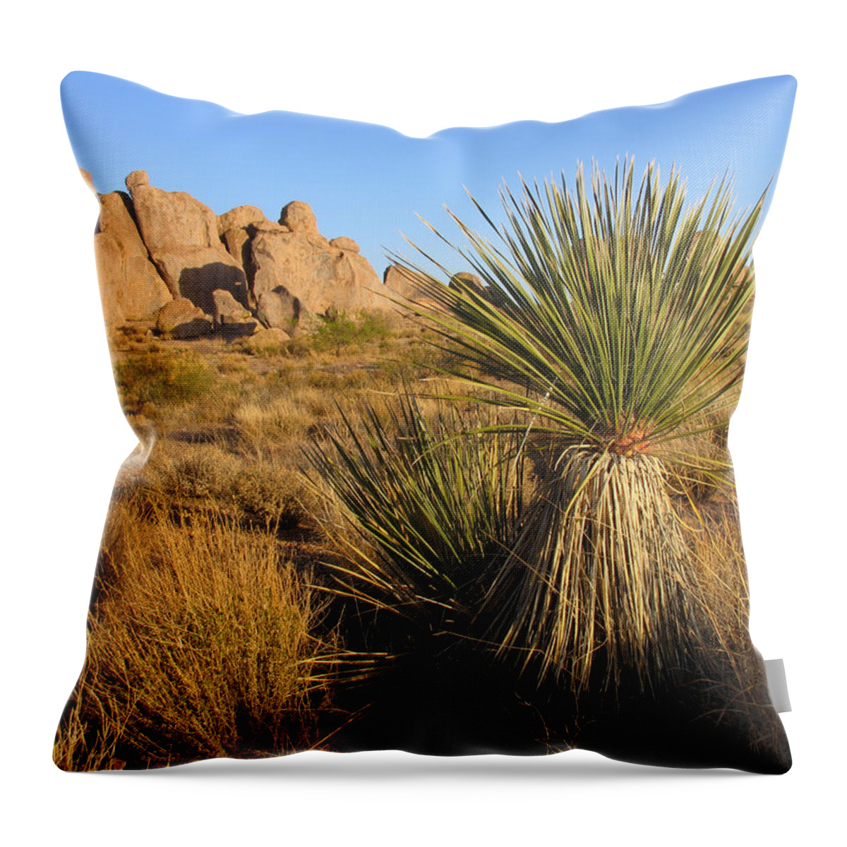Scenics Throw Pillow featuring the photograph Southwestern Scene by Duckycards