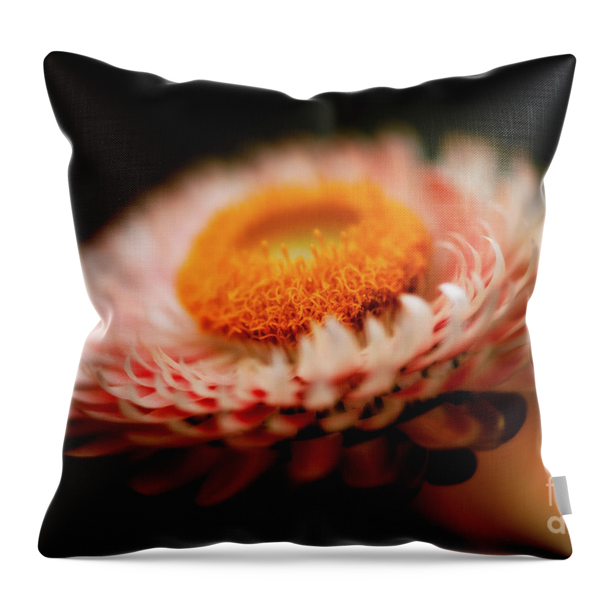Botanical Throw Pillow featuring the photograph Spaceship Landing by Venetta Archer