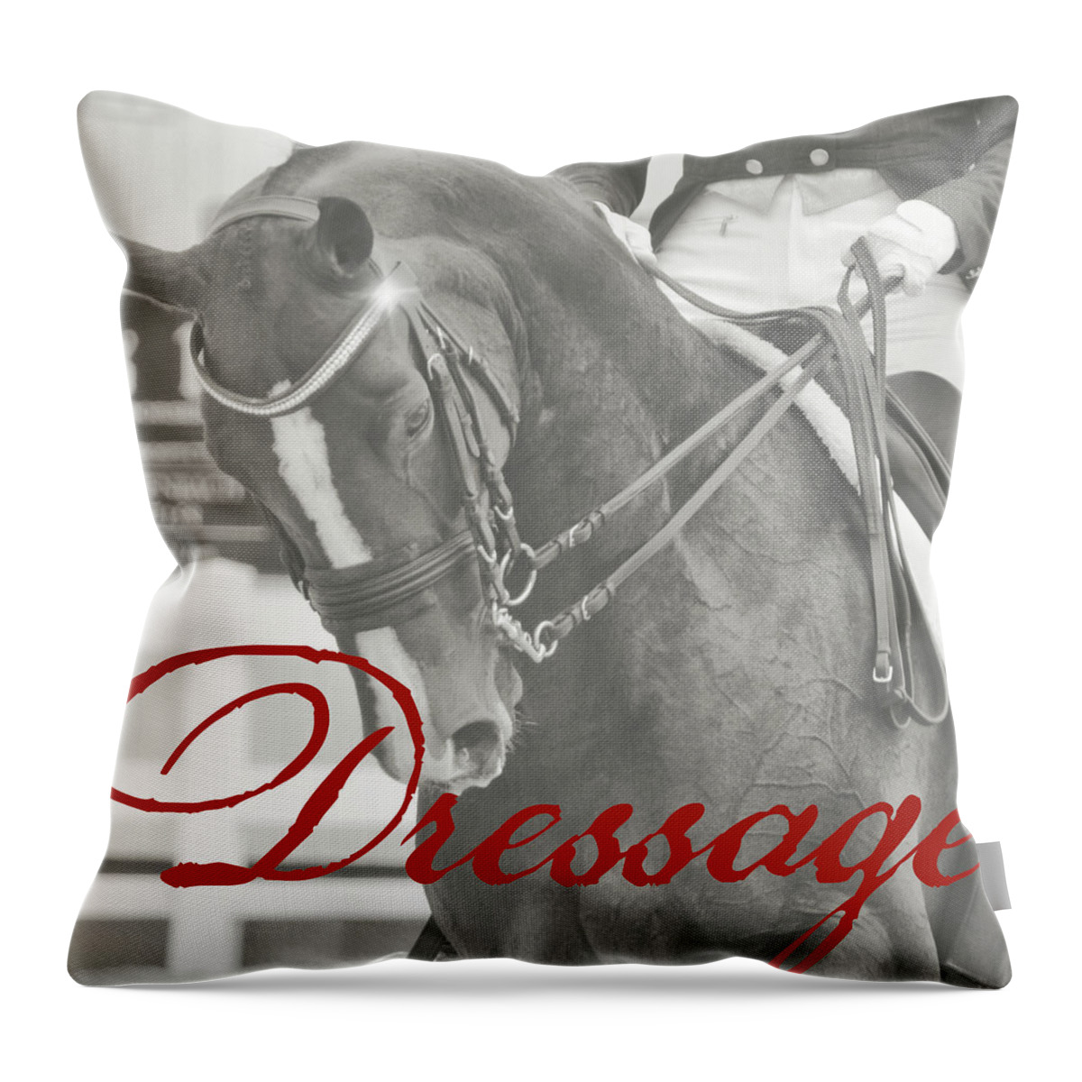 Are Throw Pillow featuring the photograph SPARKLE DANCE quote by Dressage Design