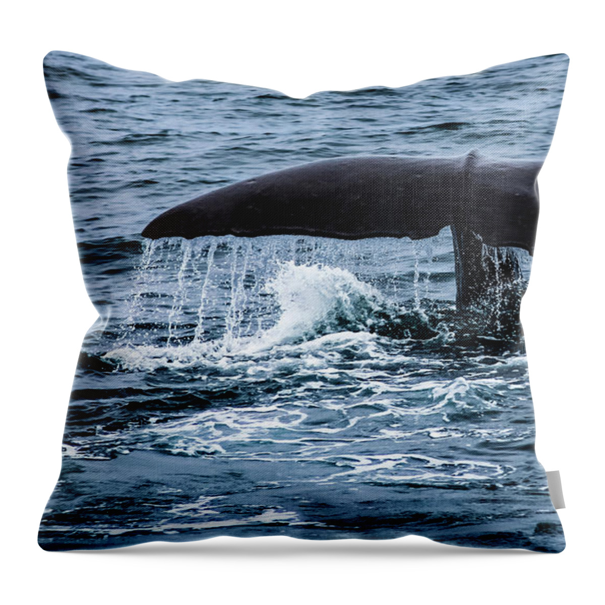 Whale Throw Pillow featuring the photograph Sperm whale by Lyl Dil Creations