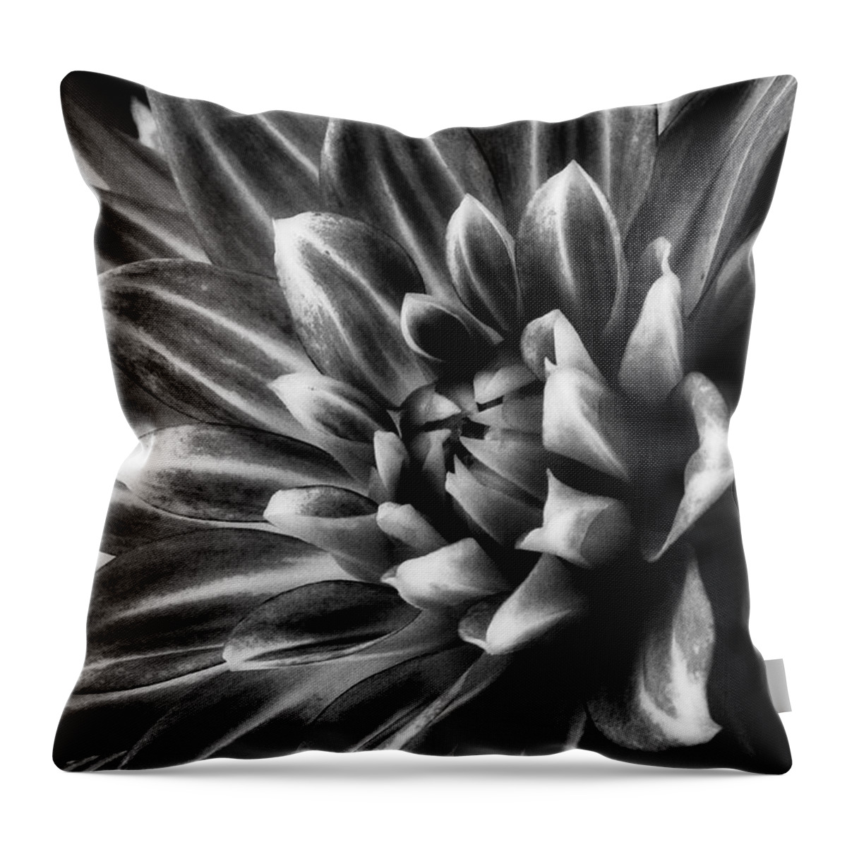 Dahlia Throw Pillow featuring the photograph Spider Dahlia In Black And White by Garry Gay