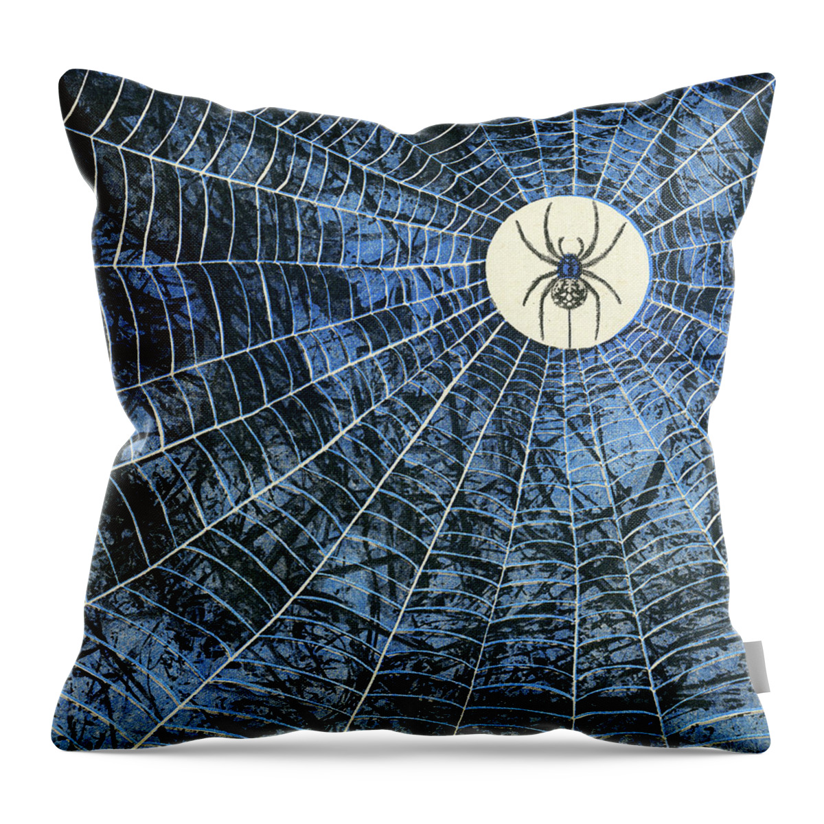 Campy Throw Pillow featuring the drawing Spider in the Middle of Web by CSA Images