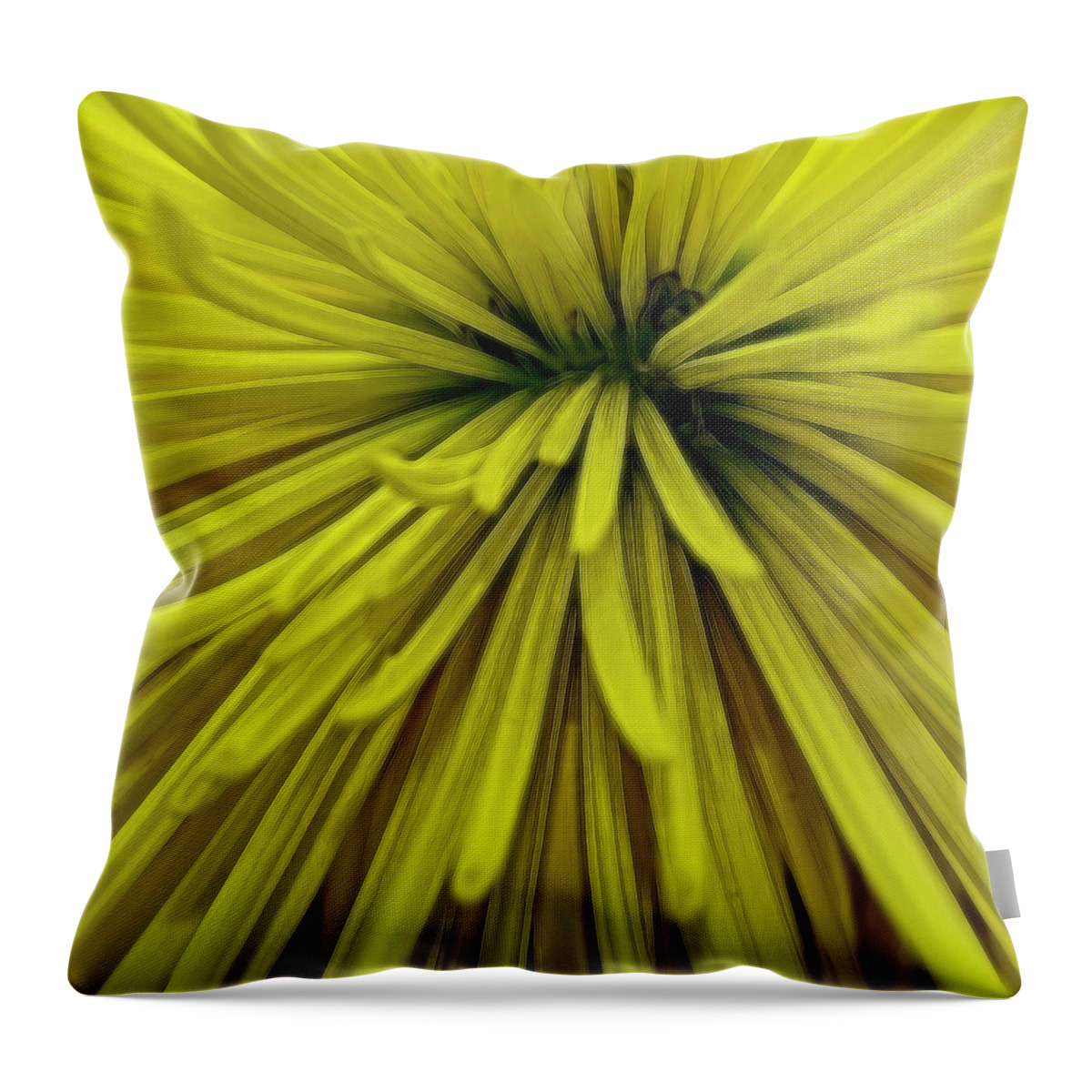 Flower Throw Pillow featuring the photograph Spider Mum 3983 by Cathy Kovarik