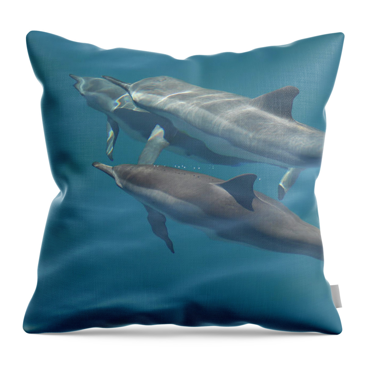 Denise Bruchman Photography Throw Pillow featuring the photograph Spinner Dolphins by Denise Bruchman