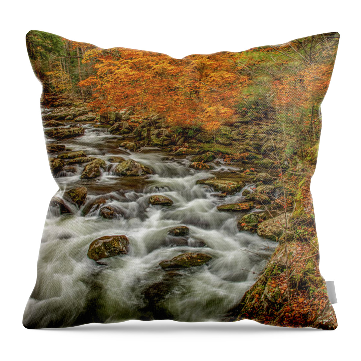 Tremont Throw Pillow featuring the photograph Splashing Down the Mountain by Marcy Wielfaert