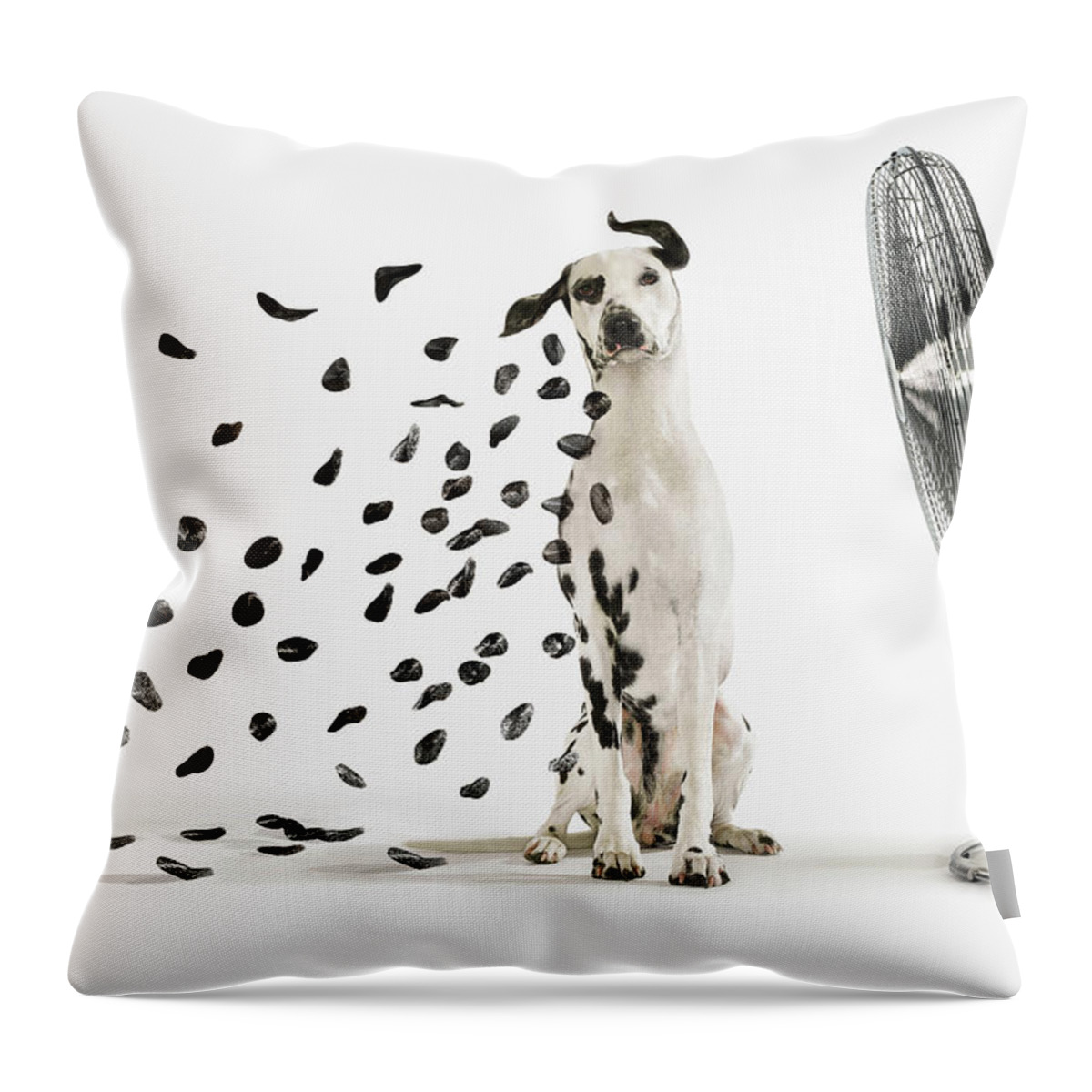 Dalmatian Throw Pillow featuring the photograph Spots Flying Off Dalmation Dog by Gandee Vasan