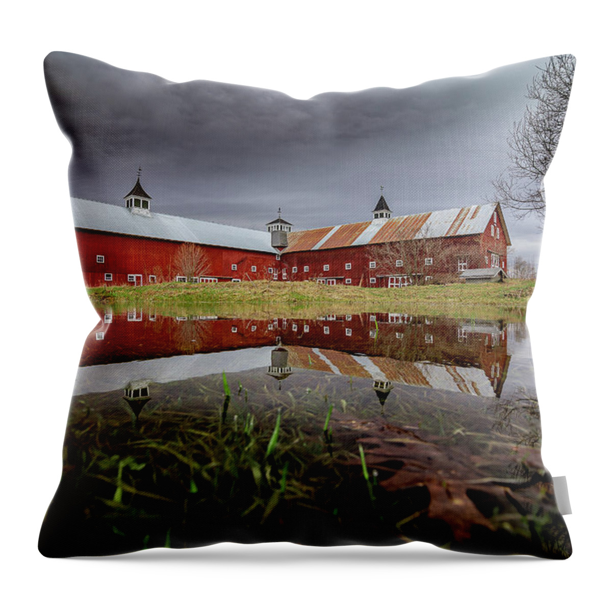 Barn Throw Pillow featuring the photograph Spring Barn Reflection by Tim Kirchoff