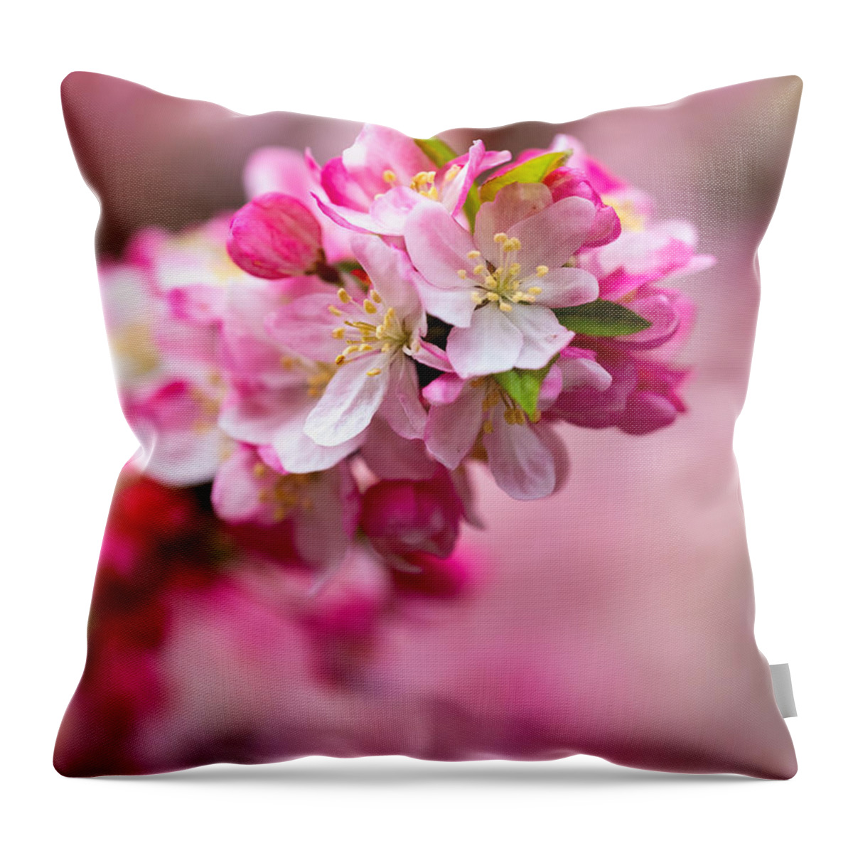 Spring Throw Pillow featuring the photograph Spring Blooms by Roberta Kayne