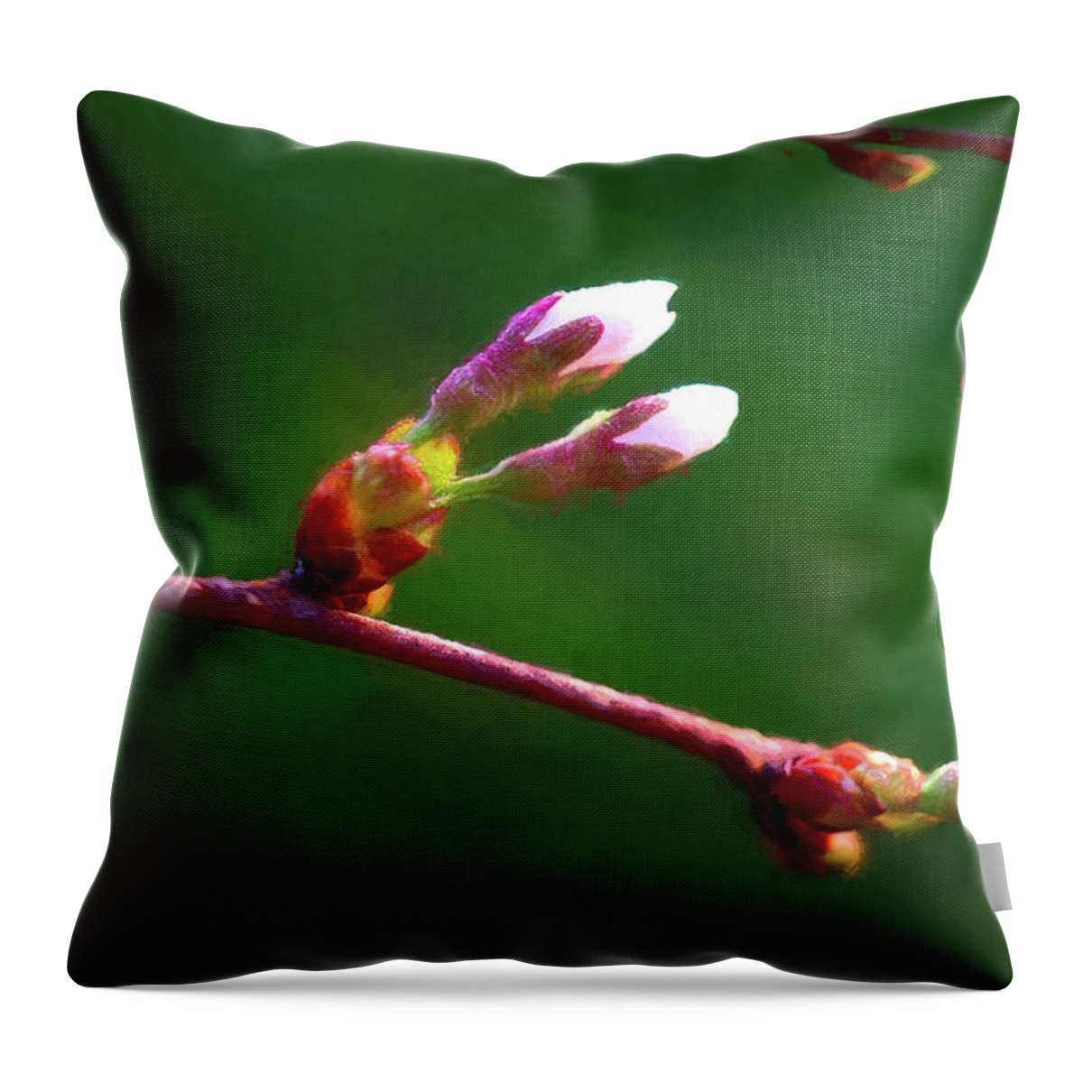 Tree Throw Pillow featuring the photograph Spring Buds - Weeping Cherry Tree by Tom Mc Nemar
