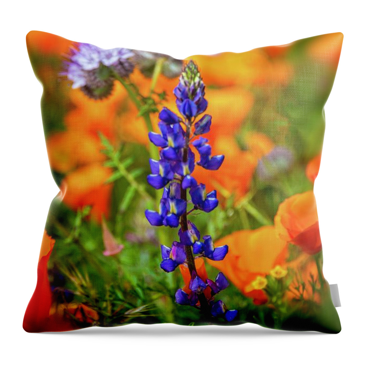 Superbloom Throw Pillow featuring the photograph Spring Delight - Superbloom 2019 by Lynn Bauer