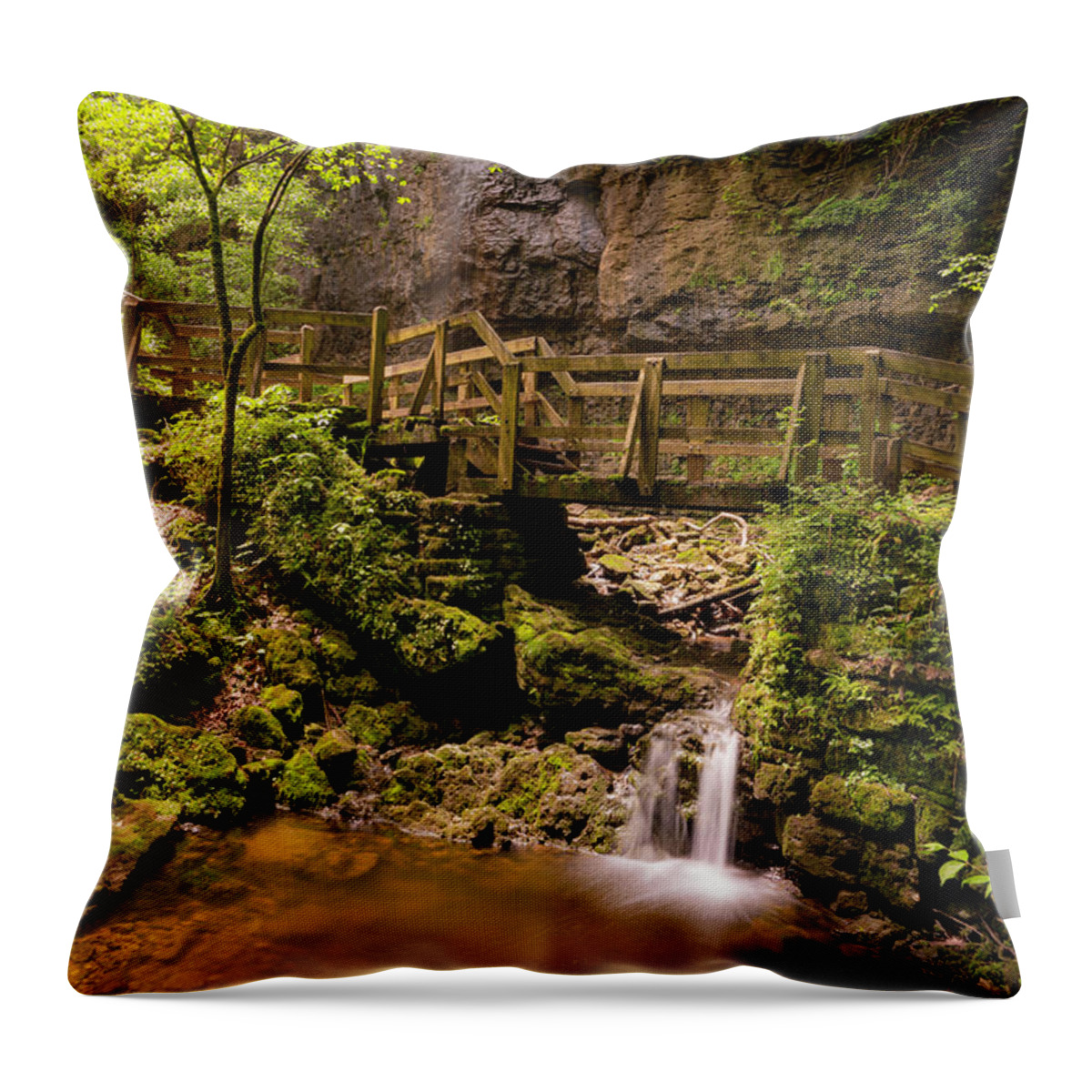 Gorge Throw Pillow featuring the photograph Spring in the Gorge by Arthur Oleary