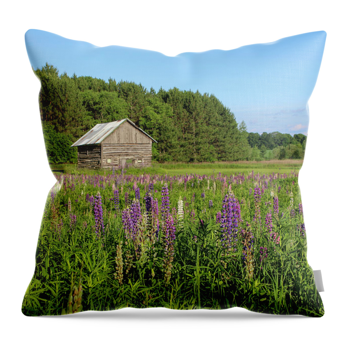 Lupine Throw Pillow featuring the photograph Spring Lupine Farm 32 by Brook Burling